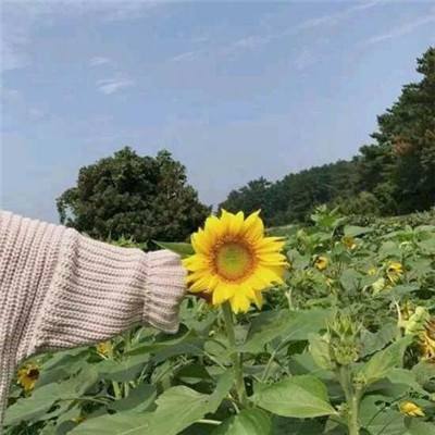 攻速打金冰雪官方版下载